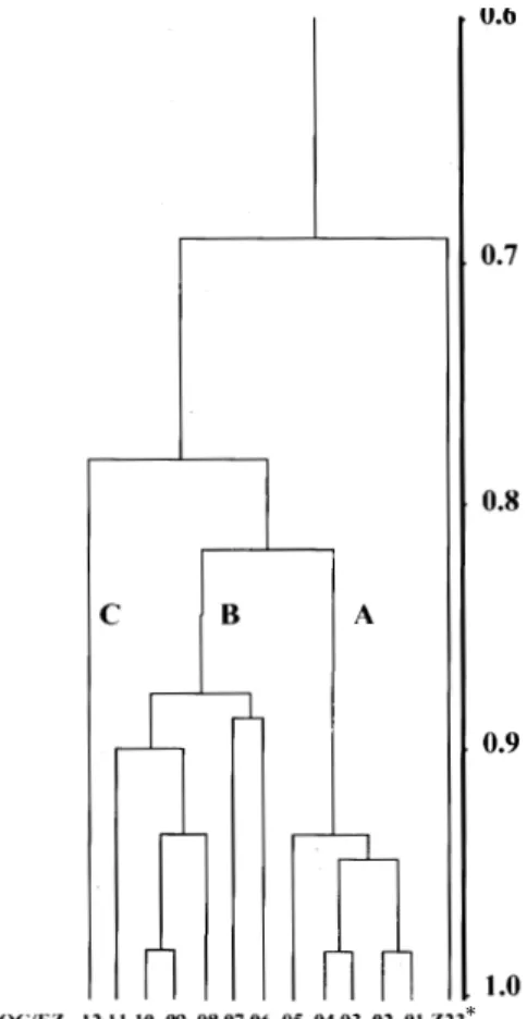 Fig. 3: phenetic analysis of enzyme data from Endotrypanum stoks. The Simple Matching Coefficient of Similarity was  cal-culated between all combinations of pairs of strains and the similarity matrix transformed into a dendogram by the UPGMA algorithm.