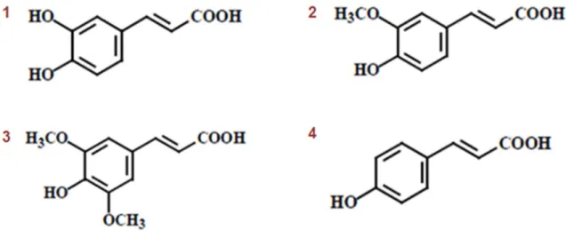 Figura  7  -  Estruturas  químicas  dos  seguintes  ácidos:  (  1-  ácido  cafeico;  2-  ácido  ferúlico;  3-  ácido  sinápico; 4- ácido p-cumárico), (Fonte: Lianda, 2009)