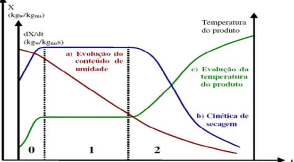 Figura 10 - Curvas típicas de secagem (Fonte: Park et al. 2001)