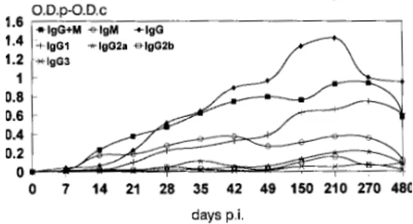 Fig. 1: dynamics of IgG+IgM, IgM, IgG, IgG1, IgG2a, IgG2b and IgG3 production in BALB/c mice inoculated with 4,000 Toxocara canis embryonated eggs against T