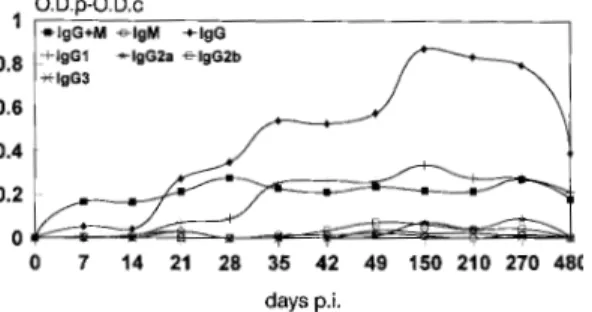 Fig. 3: dynamics of IgG+IgM, IgM, IgG, IgG1, IgG2a, IgG2b and IgG3 production in C3H mice inoculated with 4,000  Toxo-cara canis embryonated eggs against T