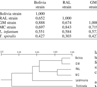 Fig. 5: unweighted pair group method analysis phenogram of Trypanosoma cruzi strains based on pairwise band sharing from randomly amplified polymorphic DNA profiles