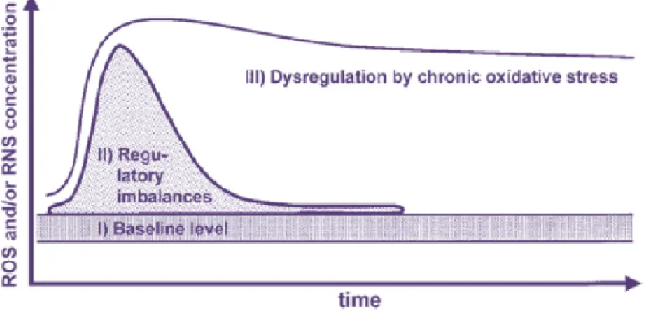 Figure 7: Reactive species concentration and their responses. 