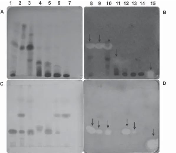 Fig. 2: thin layer chromatography plates of “pariparoba” were run in duplicate and one set was visualized by vanillin/sulfuric acid (2%) spray reagent (A and C)