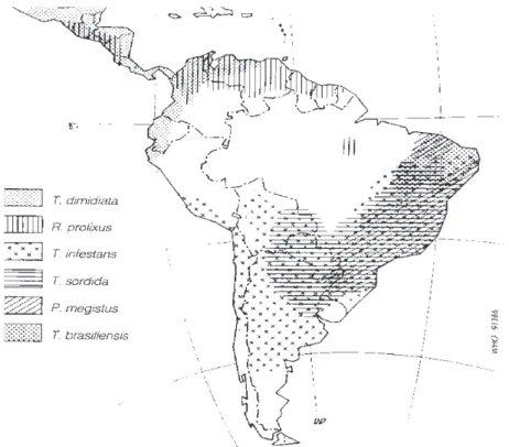 Fig. 1: distribution of main vectors, 1990