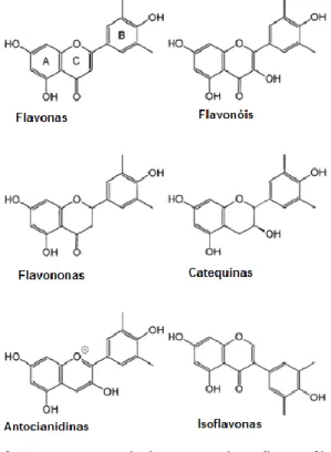 Figura  8:  Subclasses  de  flavonóides  (Hollman et al., 1999) 