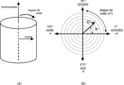 Figura  12:  Diagramas  de  representação  do  espaço  de  cores  CIELCH: disposição tridimensional, mostrando as coordenadas  L*,  C*  e  h°  (A)  e  disposição  bidimensional,  mostrando  as 