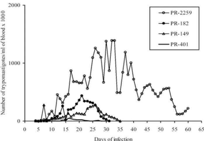 Fig. 4: parasitaemia curves in mice infected with 5 000 blood trypomastigotes from four representative Trypanosoma cruzi strains isolated from chronic chagasic patients residing in the state of Paraná.