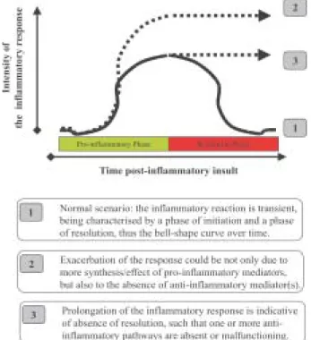 Fig. 1: the concept of resolution and inflammatory pathology.