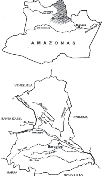 Fig. 1: district of Barcelos in the microregion of Negro River, state of Amazonas.