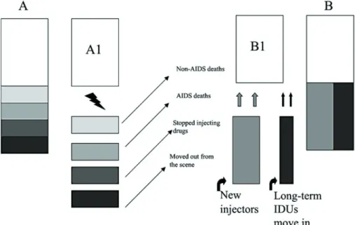 Fig. 1 depicts a simplified representation of what may take place in a hypothetical drug injecting scene, assessed by two cross-sectional surveys, A and B