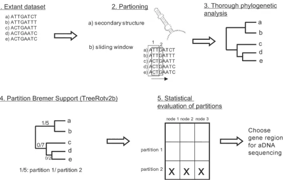 Fig. 1:  diagram illustrating the analytical steps of the proposed Partitioned Bremer Support (PBS) procedure for aDNA.