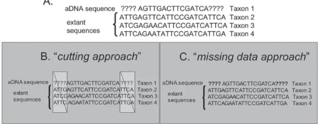 Fig. 2: example depicting missing data in aDNA analysis.  Missing characters are coded in form of a questionmark.