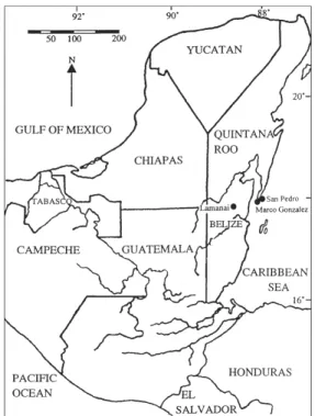 Fig. 1: map of Belize showing location of Marco Gonzalez and San Pedro (modified after Williams et al