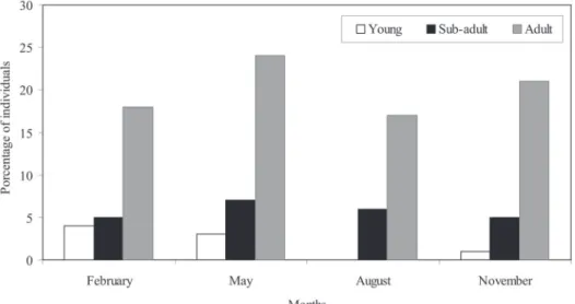 Fig. 2: age structure of Nectomys squamipes at Encanto, Sumidouro, state of Rio de Janeiro, Brazil.