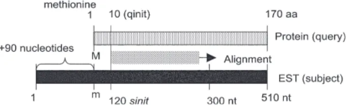 Fig. 1: model for prediction of clone completeness. BLAST searches (tBLASTn) of Schistosoma mansoni ESTs (subject) are performed against KOG protein sequences (query) and results are inserted into MySQL database