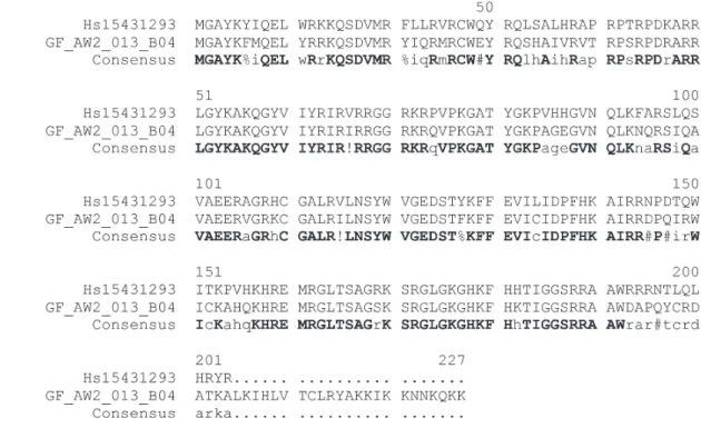 Fig. 2: alignment of the translated ORF of a Schistosoma mansoni full-length cDNA to its ortholog using Multalin