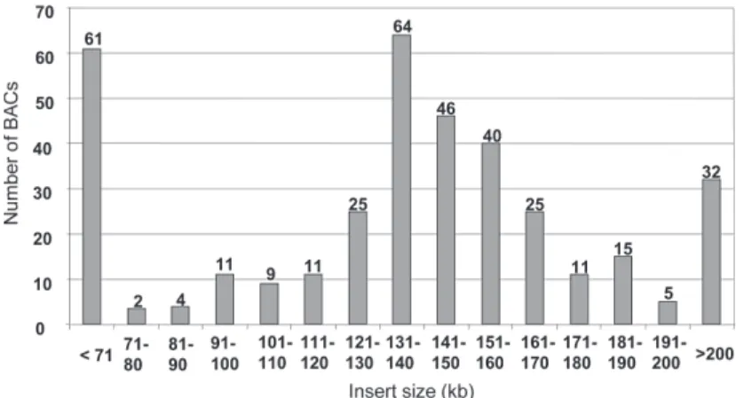 Fig. 3: bar graph showing the size distribution of insert size determined from 361 BAC clones