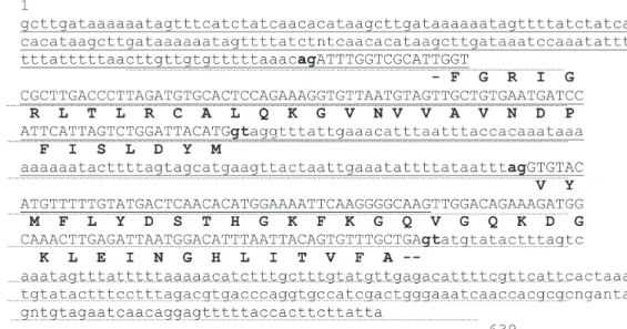 Fig. 5: alignment of two BAC end sequences shows intron-exon structure of a partial Biomphalaria glabrata gene encoding glyceralde- glyceralde-hyde-3-phosphate dehydrogenase (e-value of 1e -22  for BLASTX)