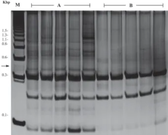 Fig. 2: diagrammatic representation of susceptible/resistance characters within three successive  generations of Biomphalaria  snails