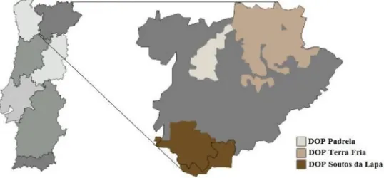 Fig.  1.2  –  DOP  existentes  na  região  de Trás-os-Montes  e  Alto  Douro  (Fonte:  Borges  et  al