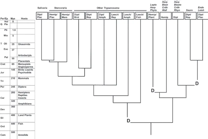 Fig. 1: host-based phylogenetic tree of trypanosomes using the fossil records of current hosts to infer the phylogeny of parasites.
