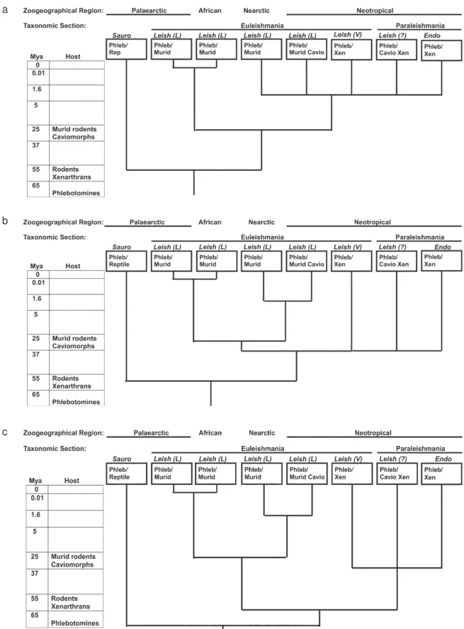 Fig. 2: host-based area cladograms of Leishmania, which use  patterns of origination and dispersal of hosts and vectors to infer the phylogeny of parasites