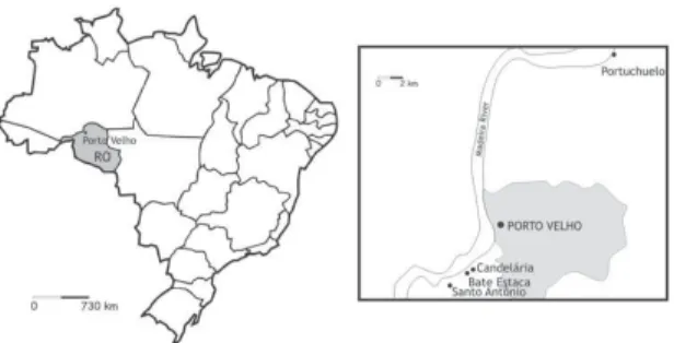 Fig. 1: localities where mosquitoes were collected. Left: Brazil, showing the state of Rondônia (RO) and its capital, Porto Velho; right: the area of Porto Velho, and location of the four collection sites along the Madeira River.
