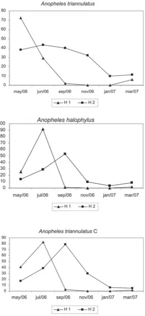 Fig. 4: bimonthly frequency of three Anopheles  species of the Triannulatus Complex. Frequency is given as mean of specimens per collector  cap-tured  from 17:00h to sunset (H1) and from sunset to 20:00 h (H2), in Salobra, Mato Grosso do Sul, Brazil, from 