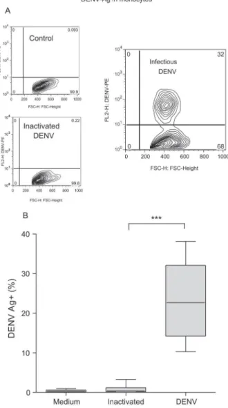 Fig. 1: model for DENV in vitro infection: DENV-Ag detection in mono- mono-cytes by FACS