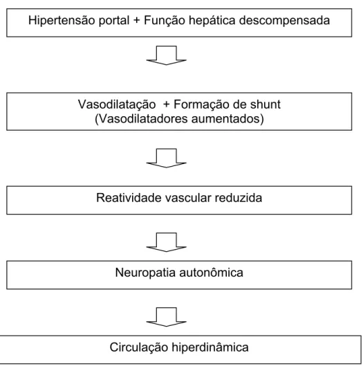 FIGURA 3 - Patogênese da circulação hiperdinâmica da cirrose (estágio II tardio). Hipertensão portal + Função hepática descompensada 