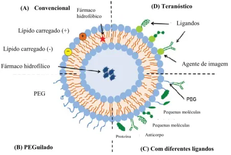 Figura 7: Representação esquemática de diferentes tipos de sistemas de veiculação lipossomais