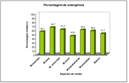 Figura 7. Resultados da percentagem de emergência.