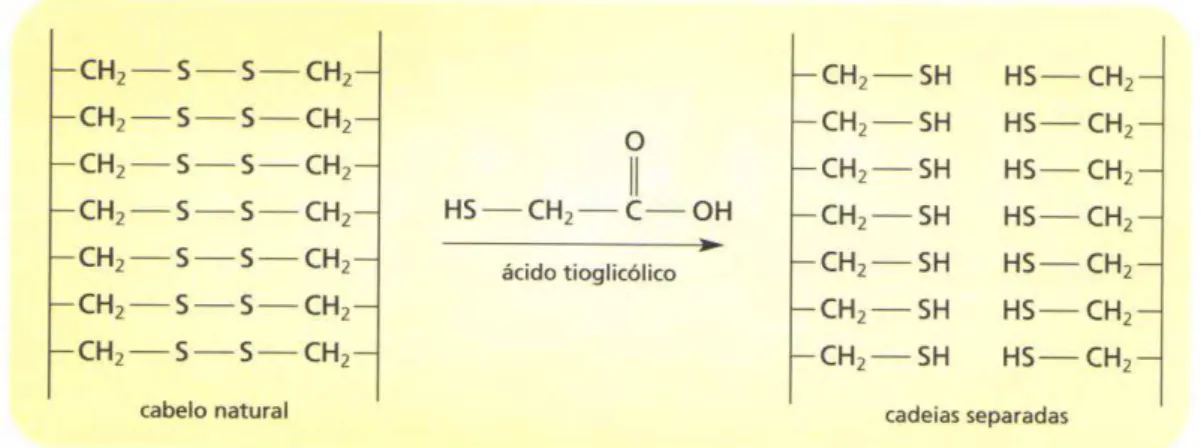 Figura 6. Reação de redução das ligações dissulfídicas da queratina pelo  ácido tiogliocólico