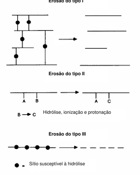 FIGURA 11: Esquema dos tipos de erosão polimérica Fonte: Adaptação de Merkli et al. (1998, p.564).