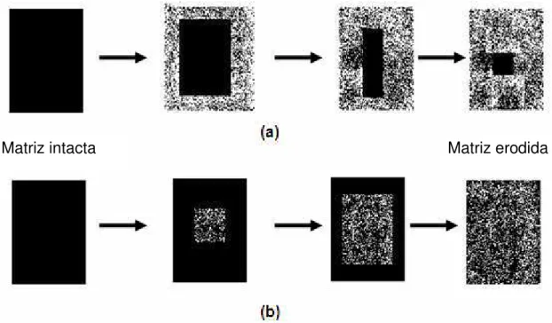 FIGURA 12: Ilustração esquemática: (a) erosão superficial e (b) erosão matricial