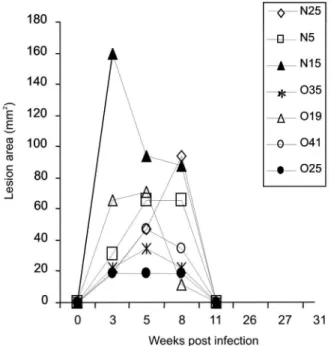 Fig. 2: course of skin lesion development in rhesus monkeys following  primary infection with Leishmania major (strain LV39)