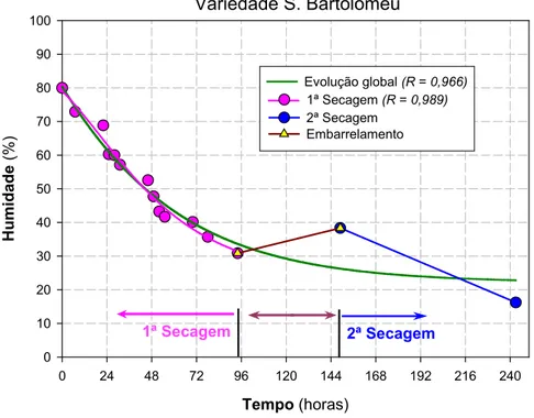 Figura 4 – Evolução da humidade das peras da variedade S. Bartolomeu, por fases. 