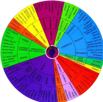Figure 2. References for Port wine colors. 