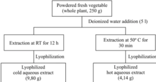 Fig.  1:  a  flow  chart  for  the  aqueous  extraction  of  lyophilized  fresh  whole plant.