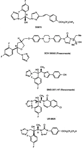 Fig. 1: chemical structures of novel triazole derivatives, specific inhibi- inhibi-tors of fungal and protozoal sterol C14α-demethylase (CYP51), with  cu-rative activity in animal models of acute and chronic Chagas disease.