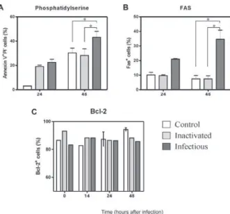 Fig. 4: Dengue virus (DENV)-2 infection enhanced apoptosis of hu- hu-man monocytes as observed by Fas and phosphatidilserine detection  but  no  Bcl-2  change:  monocyte-enriched  human  peripheral  blood  mononuclear cell (PBMC) was incubated for 14-48 h 