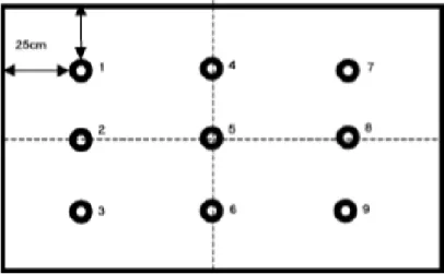 Figura 1.2 – Localizações de impacto para pisos de ginástica rítmica [6]. 
