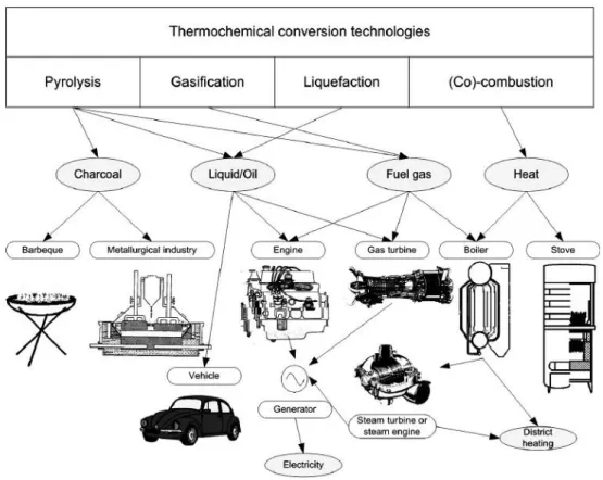 Figura 2.1: Processos de conversão termoquímicos (Van Loo e Koppejan, 2008).