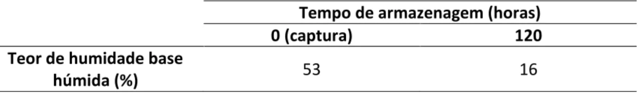Tabela 4.2: Variação do teor de humidade do Cytisus scoparius durante a secagem natural