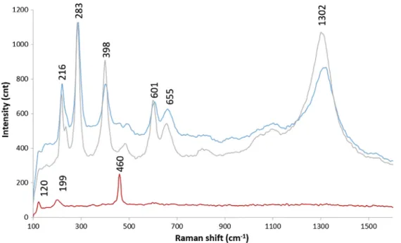 Fig. 5. Raman spectrum of red pigment attributed to haematite and magnetite ( sample 2252, sample 2193) and quartz ( sample 2193)