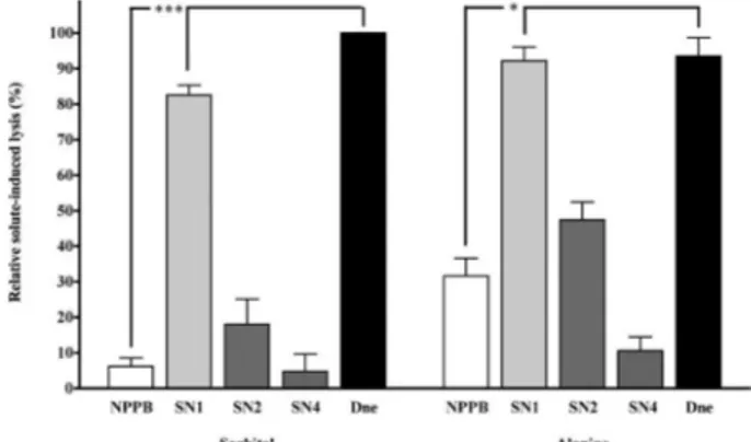 Fig.  3:  inhibition  of  solute-induced  lysis  in  Plasmodium  falciparum- falciparum-infected human erythrocytes by Solanum nudum compounds