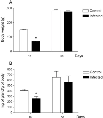 Fig.  3:  epidermal  growth  factor  receptors  (EGF-R)  levels  in  parotid  gland extract of control and infected rats after 18 or 50 days of  infec-tion