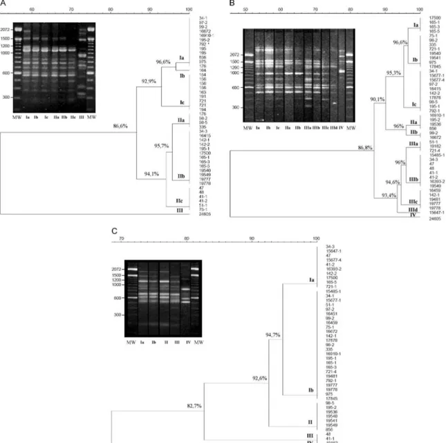 Fig. 1: representative profiles and dendrograms obtained by DNA analyses of 44 Sporothrix schenckii strains involved on the epidemic of sporo- sporo-trichosis in Rio de Janeiro, Brazil, and two control strains by RAPD using primer 1 (A), primer 4 (B) and p
