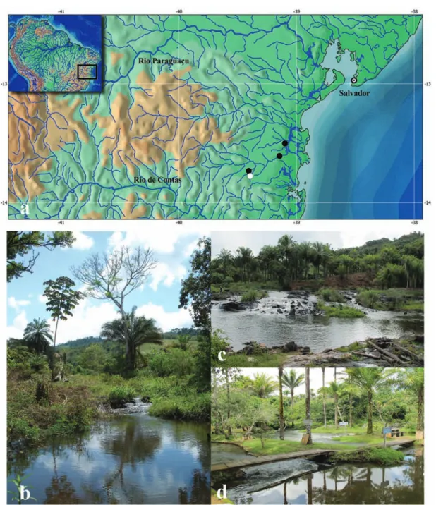 Fig. 2. Distribution and streams inhabited by Characidium samurai: (a) map of distribution of the new species (white dot  represents the type locality), (b) type locality, Piraí do Norte, rio do Peixe, tributary of rio das Almas, (c) Nilo Peçanha, rio  das